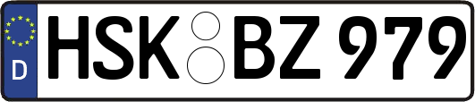 HSK-BZ979