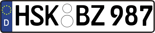 HSK-BZ987