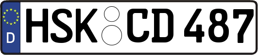 HSK-CD487