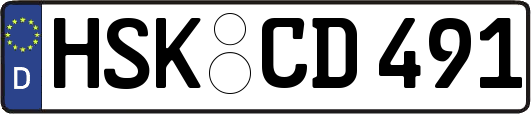HSK-CD491
