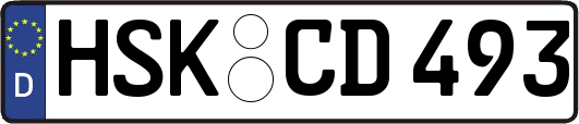 HSK-CD493