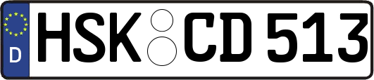 HSK-CD513