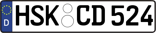 HSK-CD524