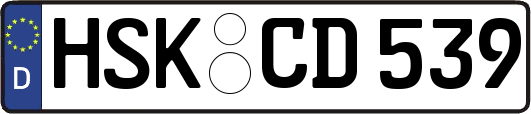 HSK-CD539