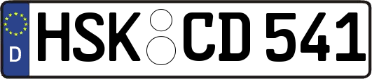 HSK-CD541