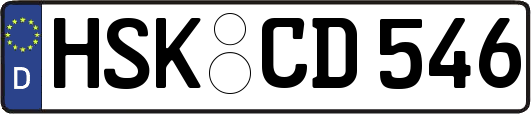 HSK-CD546