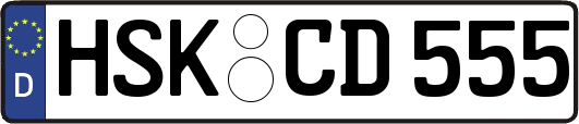 HSK-CD555