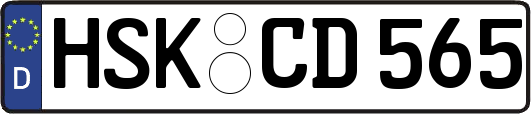 HSK-CD565