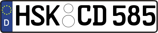 HSK-CD585