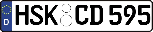 HSK-CD595