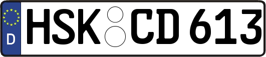 HSK-CD613