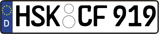 HSK-CF919