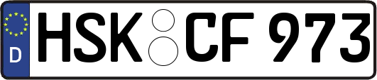 HSK-CF973