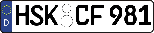 HSK-CF981