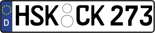 HSK-CK273