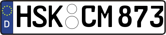 HSK-CM873