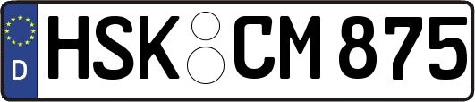 HSK-CM875