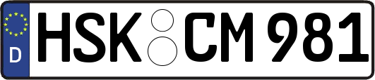 HSK-CM981