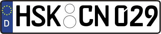 HSK-CN029