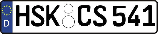 HSK-CS541