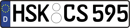 HSK-CS595