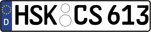 HSK-CS613