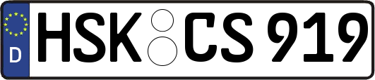 HSK-CS919