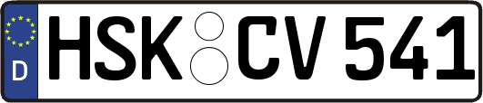 HSK-CV541