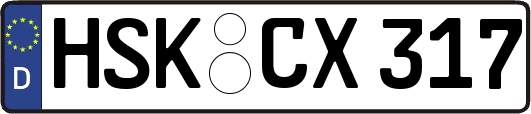 HSK-CX317
