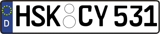 HSK-CY531
