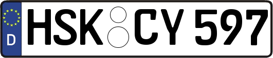 HSK-CY597