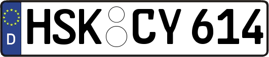 HSK-CY614