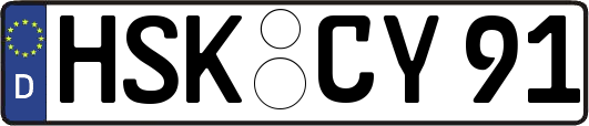 HSK-CY91