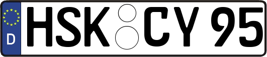 HSK-CY95
