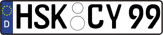 HSK-CY99