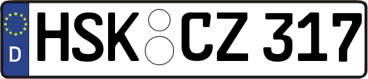 HSK-CZ317