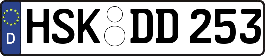 HSK-DD253