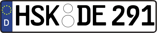 HSK-DE291