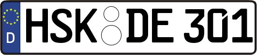 HSK-DE301