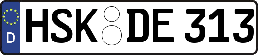 HSK-DE313