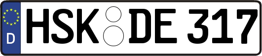 HSK-DE317