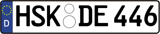 HSK-DE446