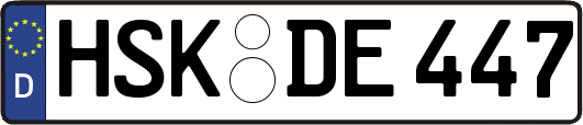 HSK-DE447