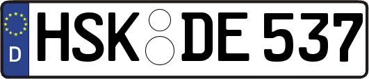 HSK-DE537
