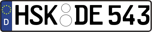 HSK-DE543