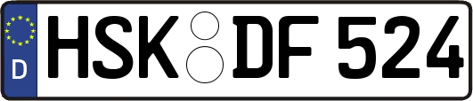 HSK-DF524