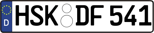 HSK-DF541