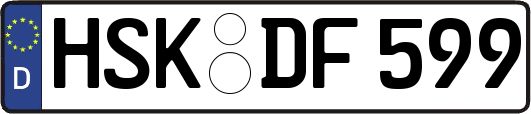 HSK-DF599