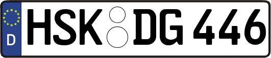 HSK-DG446