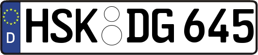 HSK-DG645